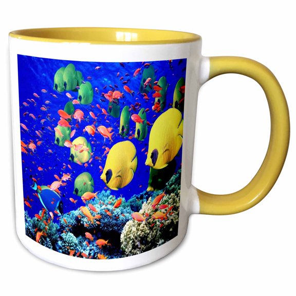 3drose, Very Colorful Fish, 11oz Two-tone Yellow Mug