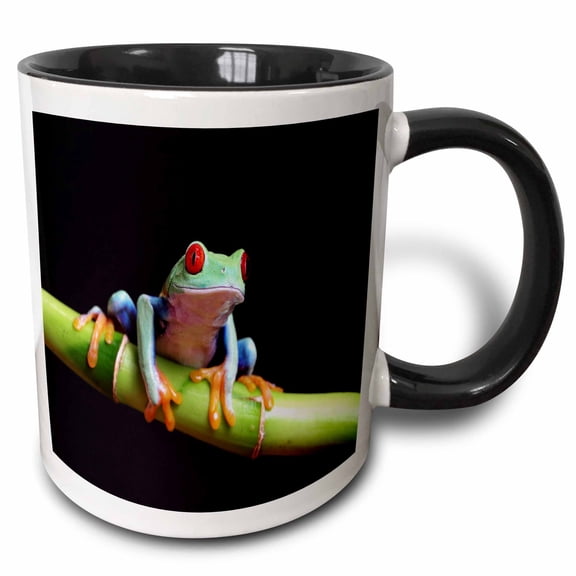 3drose, Very Colorful Tropical Frog Closeup, 11oz Two-tone Black Mug