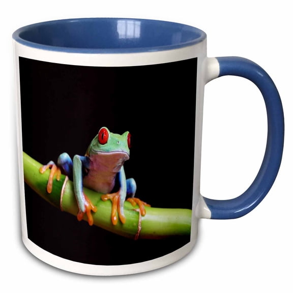 3drose, Very Colorful Tropical Frog Closeup, 11oz Two-tone Blue Mug