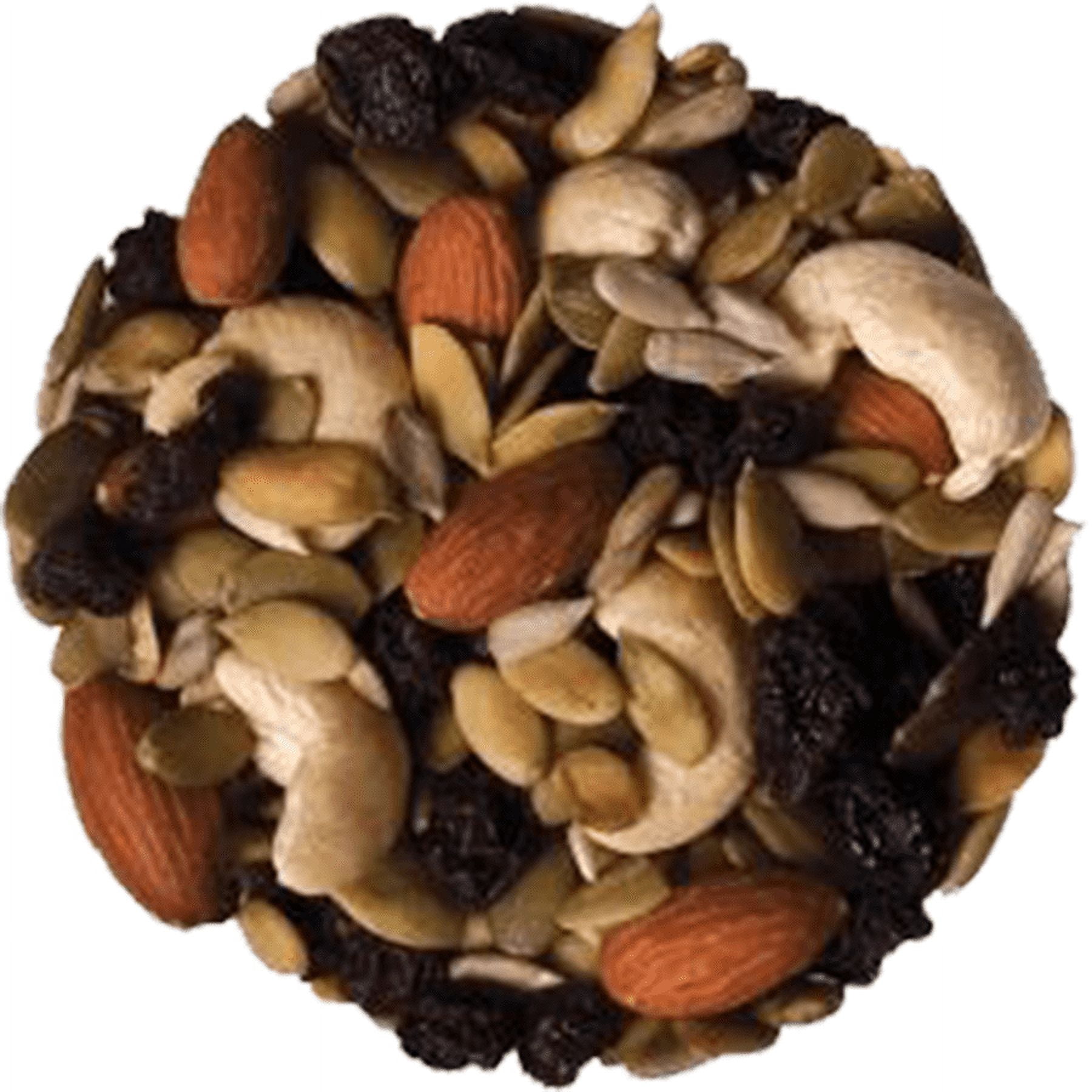 NY SPICE SHOP Very Healthy Trail Mix with Mixed Nuts - 1 Pound - Nut Snack Packs