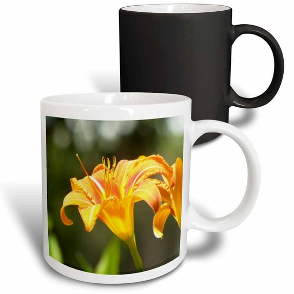 3drose, Very Pretty Orange and Yellow Tiger Lily, 11oz Magic Transforming Mug