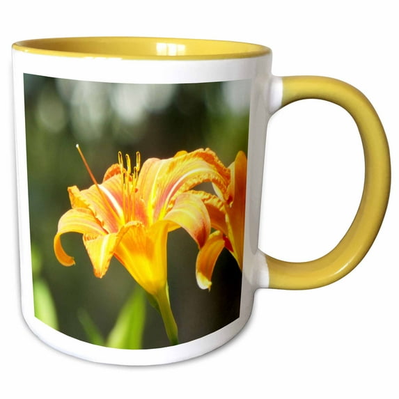 3drose, Very Pretty Orange and Yellow Tiger Lily, 11oz Two-tone Yellow Mug
