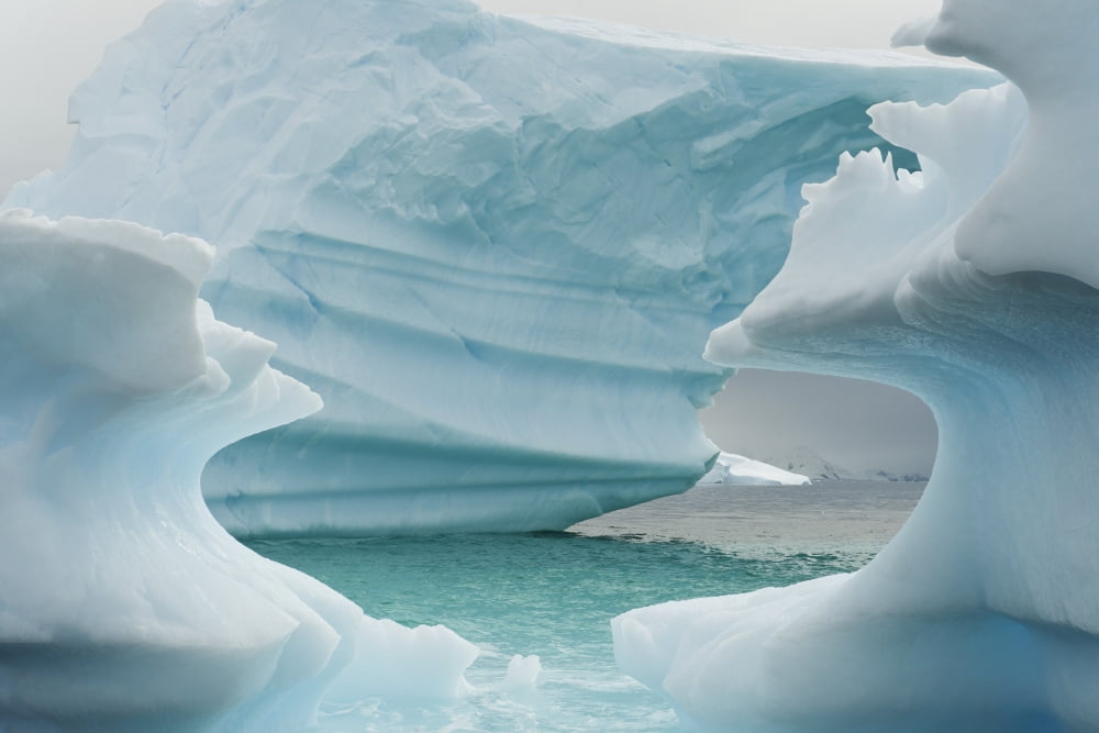 Very old carved blue icebergs Cuverville Island Antarctica Canvas Art - Daisy Gilardini Design Pics (19 x 12)