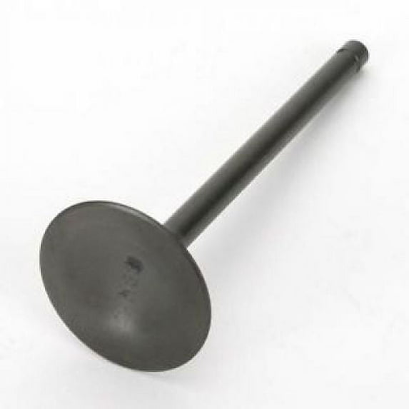 Vesrah Intake Valve
