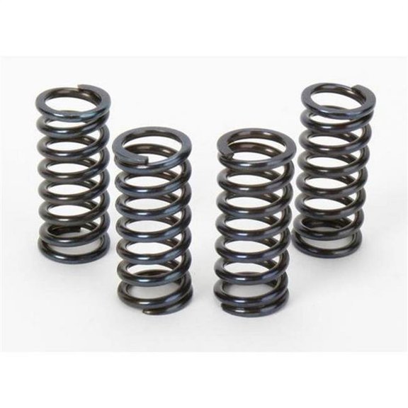 Vesrah SK-407 Racing Clutch Spring Set
