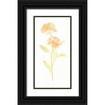 thumbnail image 1 of Vess, June Erica 11x18 Black Ornate Wood Framed with Double Matting Museum Art Print Titled - Bouquet Blush VII, 1 of 4