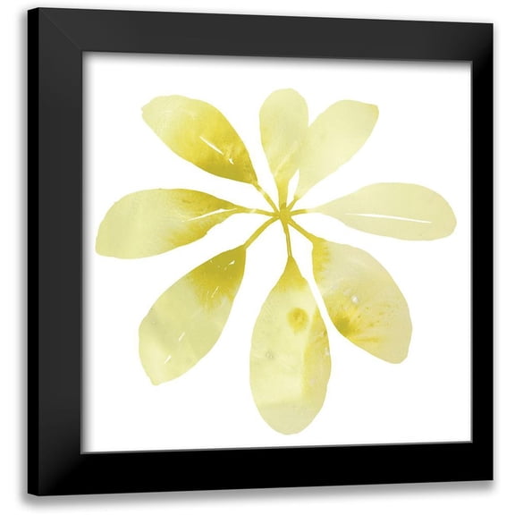 Vess, June Erica 12x12 Black Modern Framed Museum Art Print Titled - Prisma Tropical V