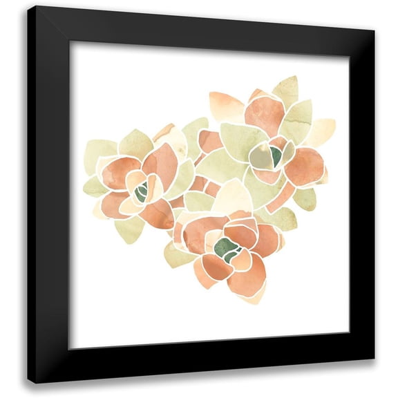 Vess, June Erica 12x12 Black Modern Framed Museum Art Print Titled - Succulent Cameo VII