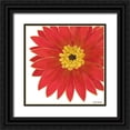 thumbnail image 1 of Vess, June Erica 12x12 Black Ornate Wood Framed with Double Matting Museum Art Print Titled - Bright Blossoms I, 1 of 4