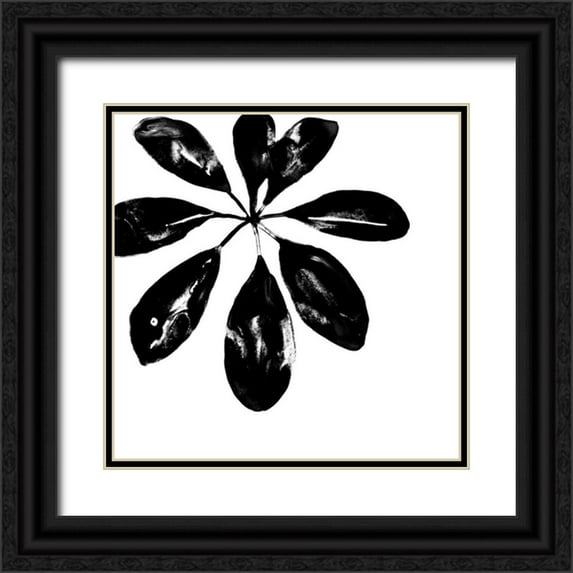 Vess, June Erica 12x12 Black Ornate Wood Framed with Double Matting Museum Art Print Titled - Monochrome Tropic VI