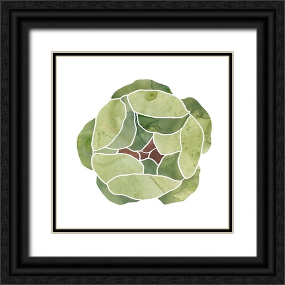 Vess, June Erica 12x12 Black Ornate Wood Framed with Double Matting Museum Art Print Titled - Succulent Cameo VIII