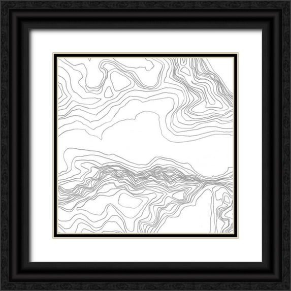 Vess, June Erica 12x12 Black Ornate Wood Framed with Double Matting Museum Art Print Titled - Topography Contour I
