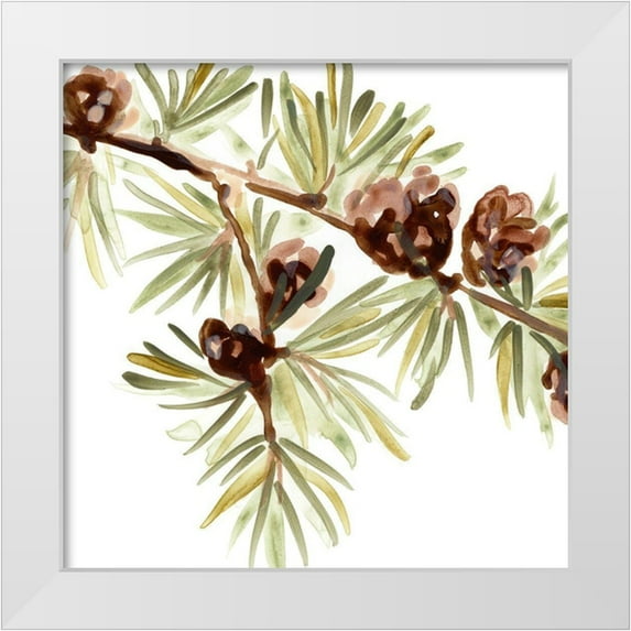 Vess, June Erica 12x12 White Modern Wood Framed Museum Art Print Titled - Simple Pine Cone III