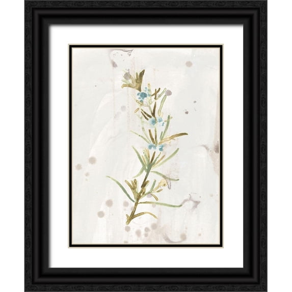 Vess, June Erica 12x14 Black Ornate Wood Framed with Double Matting Museum Art Print Titled - Antique Earthtone Herbs III
