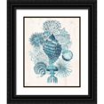 thumbnail image 1 of Vess, June Erica 12x14 Black Ornate Wood Framed with Double Matting Museum Art Print Titled - Coastal Melange II, 1 of 4