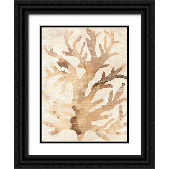 Vess, June Erica 12x14 Black Ornate Wood Framed with Double Matting Museum Art Print Titled - Parchment Coral III