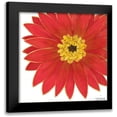 thumbnail image 1 of Vess, June Erica 15x15 Black Modern Framed Museum Art Print Titled - Bright Blossoms I, 1 of 5