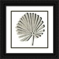 thumbnail image 1 of Vess, June Erica 15x15 Black Ornate Wood Framed with Double Matting Museum Art Print Titled - Cut Paper Palms VI, 1 of 4