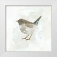 thumbnail image 1 of Vess, June Erica 15x15 White Modern Wood Framed Museum Art Print Titled - Feathered Fresco I, 1 of 4