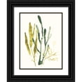 thumbnail image 1 of Vess, June Erica 15x18 Black Ornate Wood Framed with Double Matting Museum Art Print Titled - Kelp Collection I, 1 of 4