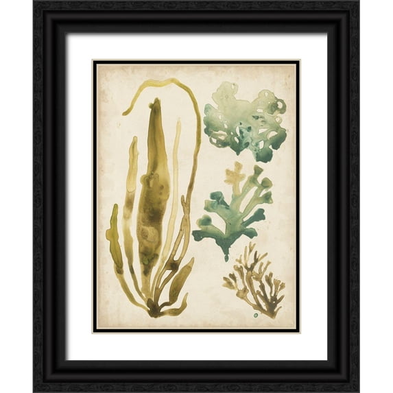Vess, June Erica 15x18 Black Ornate Wood Framed with Double Matting Museum Art Print Titled - Vintage Sea Fronds III