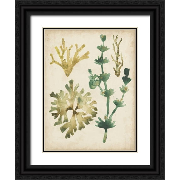 Vess, June Erica 15x18 Black Ornate Wood Framed with Double Matting Museum Art Print Titled - Vintage Sea Fronds II