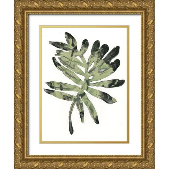 Vess, June Erica 15x18 Gold Ornate Wood Framed with Double Matting Museum Art Print Titled - Foliage Fossil V