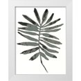 thumbnail image 1 of Vess, June Erica 15x18 White Modern Wood Framed Museum Art Print Titled - Foliage Fossil VII, 1 of 4