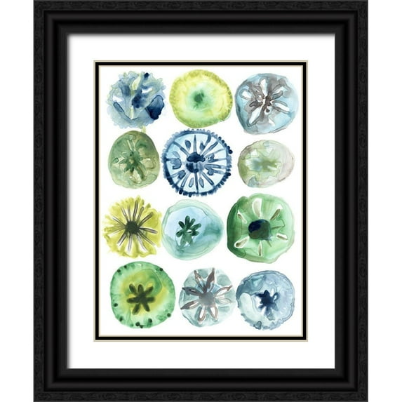 Vess, June Erica 19x24 Black Ornate Wood Framed with Double Matting Museum Art Print Titled - Sea Urchin Assortment II