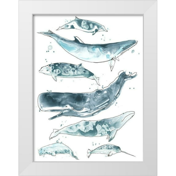 Vess, June Erica 19x24 White Modern Wood Framed Museum Art Print Titled - Cetacea II