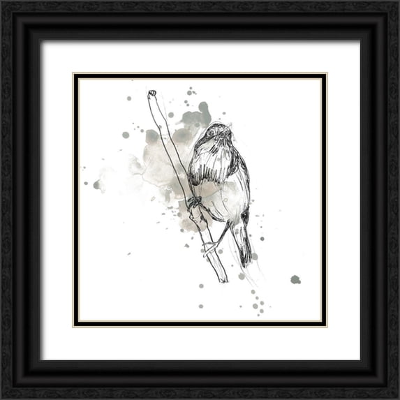 Vess, June Erica 20x20 Black Ornate Wood Framed with Double Matting Museum Art Print Titled - Gestural Bird Study III