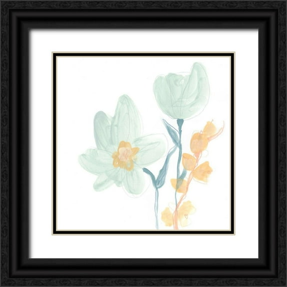 Vess, June Erica 20x20 Black Ornate Wood Framed with Double Matting Museum Art Print Titled - Petite Petals IX