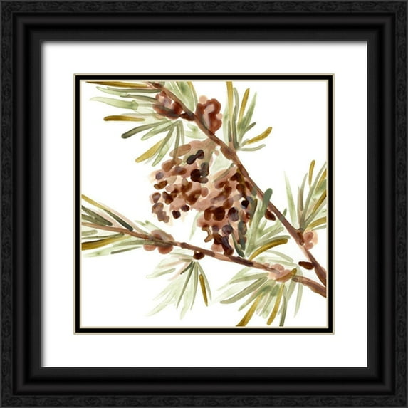 Vess, June Erica 20x20 Black Ornate Wood Framed with Double Matting Museum Art Print Titled - Simple Pine Cone II