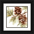 thumbnail image 1 of Vess, June Erica 20x20 Black Ornate Wood Framed with Double Matting Museum Art Print Titled - Simple Pine Cone IV, 1 of 4