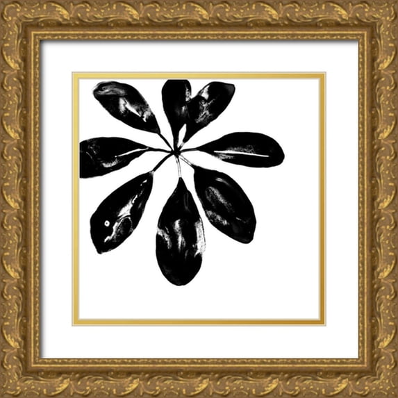 Vess, June Erica 20x20 Gold Ornate Wood Framed with Double Matting Museum Art Print Titled - Monochrome Tropic VI