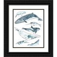 thumbnail image 1 of Vess, June Erica 20x24 Black Ornate Wood Framed with Double Matting Museum Art Print Titled - 3-UP Cetacea I, 1 of 4