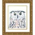 thumbnail image 1 of Vess, June Erica 20x24 Gold Ornate Wood Framed with Double Matting Museum Art Print Titled - Funky Owl Portrait II, 1 of 4