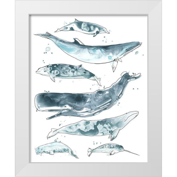 Vess, June Erica 20x24 White Modern Wood Framed Museum Art Print Titled - 3-UP Cetacea II