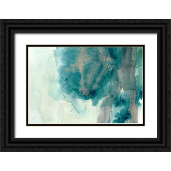 Vess, June Erica 24x17 Black Ornate Wood Framed with Double Matting Museum Art Print Titled - Hydro I