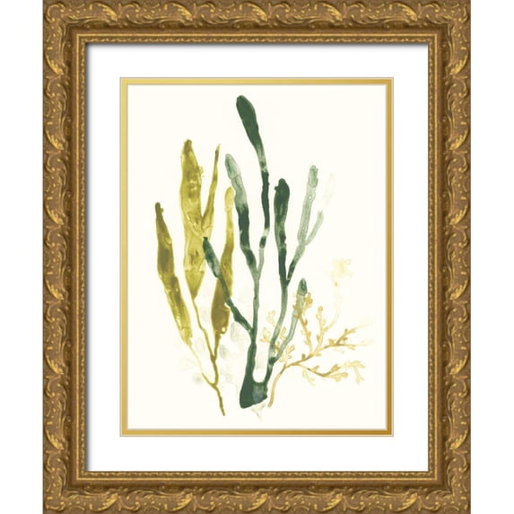 Vess, June Erica 25x32 Gold Ornate Wood Framed with Double Matting Museum Art Print Titled - Kelp Collection I