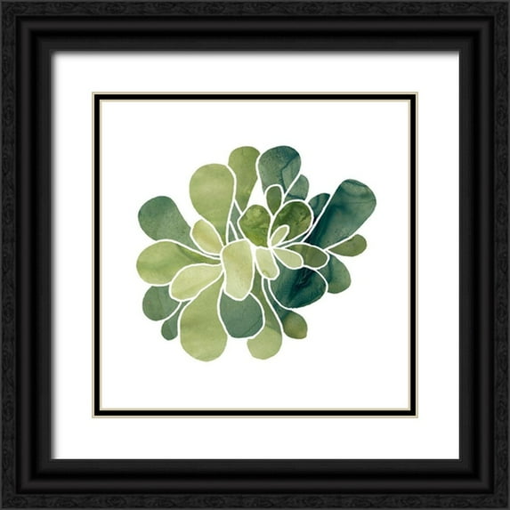 Vess, June Erica 26x26 Black Ornate Wood Framed with Double Matting Museum Art Print Titled - Succulent Cameo IX