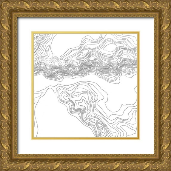 Vess, June Erica 26x26 Gold Ornate Wood Framed with Double Matting Museum Art Print Titled - Topography Contour II