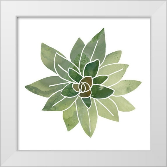 Vess, June Erica 26x26 White Modern Wood Framed Museum Art Print Titled - Succulent Cameo I