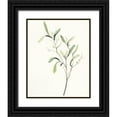 thumbnail image 1 of Vess, June Erica 26x32 Black Ornate Wood Framed with Double Matting Museum Art Print Titled - Spindle Sprig III, 1 of 4