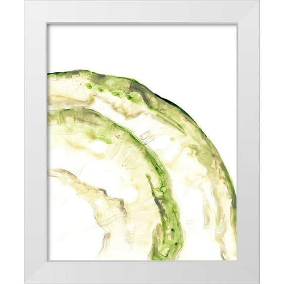 Vess, June Erica 26x32 White Modern Wood Framed Museum Art Print Titled - Lichen Halo VI