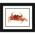 thumbnail image 1 of Vess, June Erica 32x25 Black Ornate Wood Framed with Double Matting Museum Art Print Titled - Crab Cameo III, 1 of 4