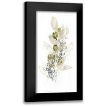Vess, June Erica 9x14 Black Modern Framed Museum Art Print Titled - Botanica Whimsy III