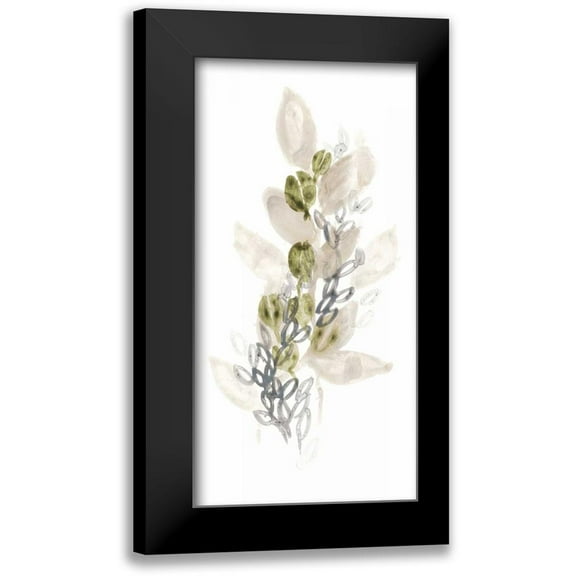 Vess, June Erica 9x14 Black Modern Framed Museum Art Print Titled - Botanica Whimsy III
