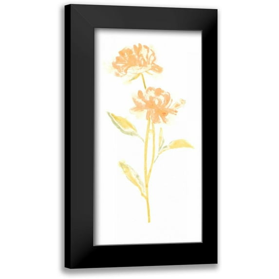 Vess, June Erica 9x14 Black Modern Framed Museum Art Print Titled - Bouquet Blush VII