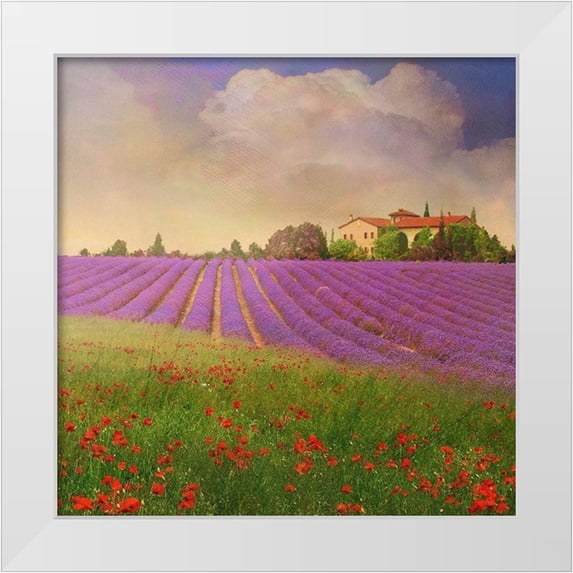 Vest, Chris 12x12 White Modern Wood Framed Museum Art Print Titled - Lavender Fields IV
